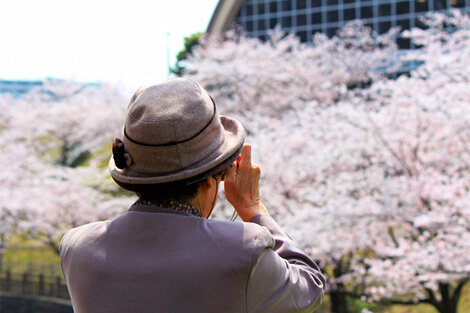 花見